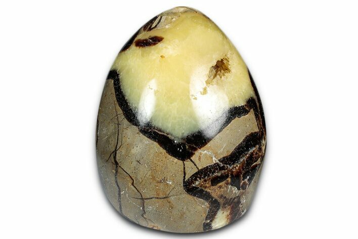 Free-Standing, Polished Septarian - Madagascar #349883